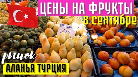 Популярные фрукты в Турции