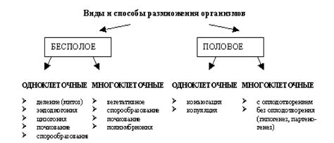 Популяция с огромным потенциалом размножения