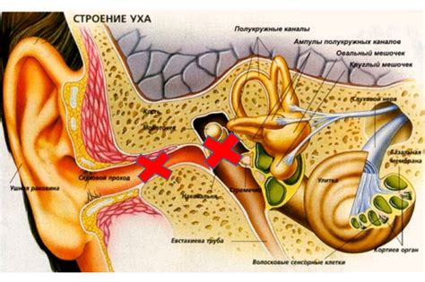 Поражения внутреннего уха и слуховые проблемы