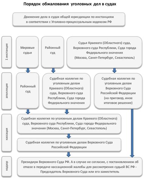 Порядок обжалования приговора районного суда