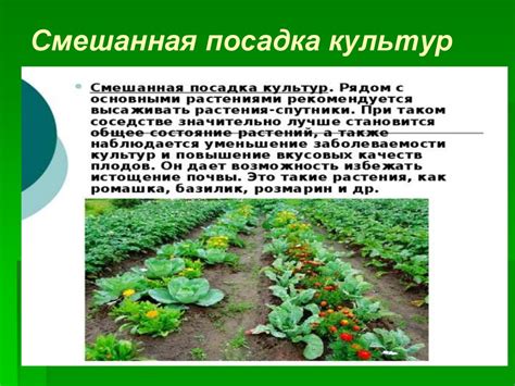 Посадка культур