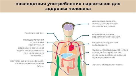 Потенциальные последствия для общества и культуры