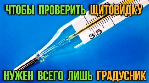 Почему важно проверить живость?