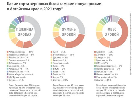 Почему важно проверять качество цеолита