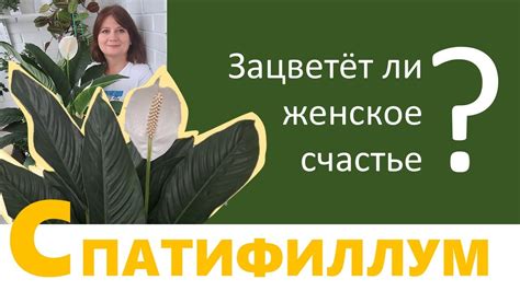 Почему женское счастье не цветет