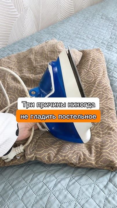 Почему не стоит гладить