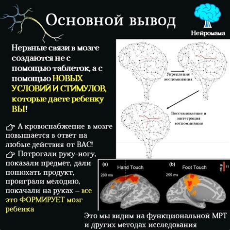 Почему ноотропы назначают