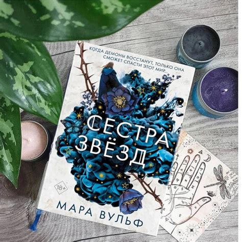 Почему стоит прочитать серию книг "Сестры ведьмы Мара Вульф"