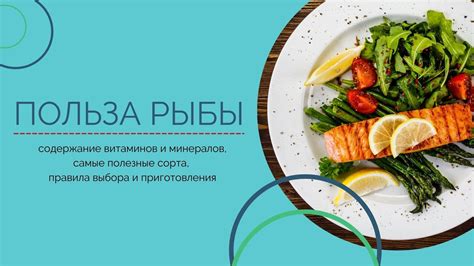 Правила использования морских продуктов