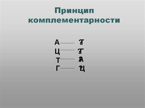 Правило комплиментарности: противоположности притягиваются