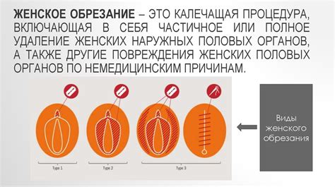 Правильное обрезание и укрытие