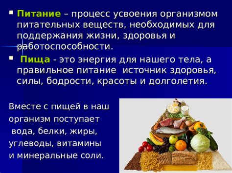 Правильное питание для поддержания силы