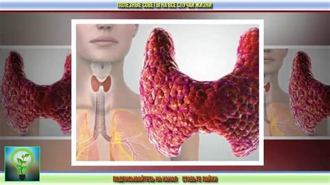 Правильное питание для поддержания щитовидной железы