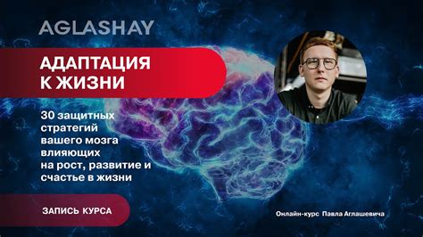 Практика и адаптация стратегий