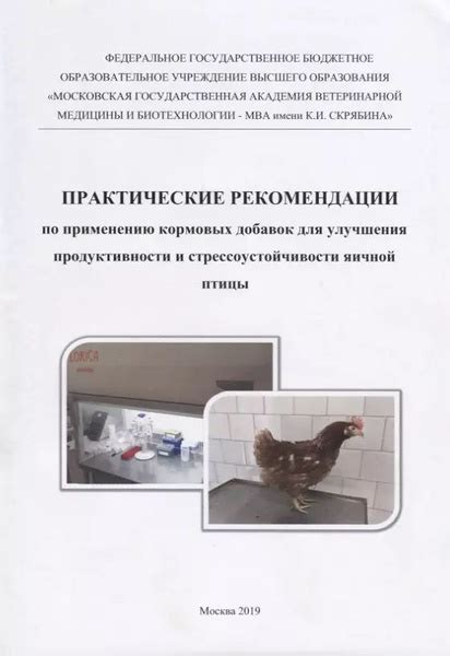 Практические рекомендации по улучшению продуктивности