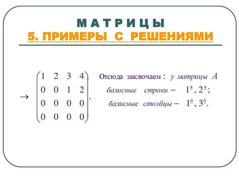 Практическое применение матрицы определителя в математике