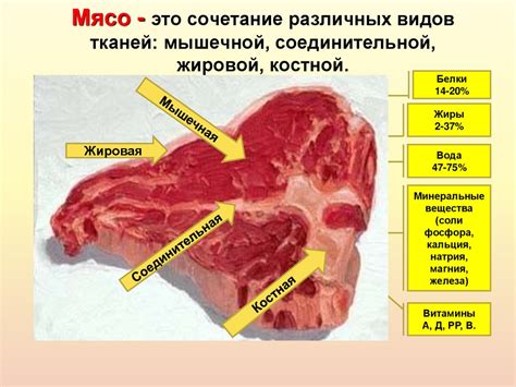 Предварительная обработка мяса