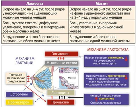 Предотвращение мастита