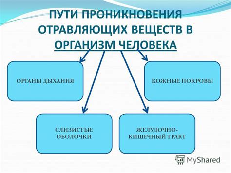 Предотвращение попадания клостридий в организм