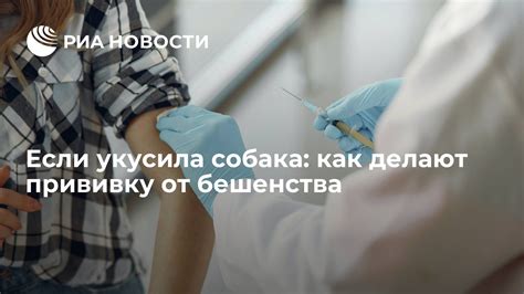 Преимущества дегельминтизации перед вакцинацией от бешенства