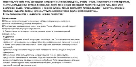 Преимущества и недостатки ночной ночевки