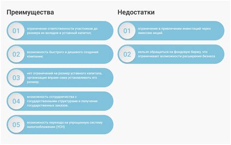 Преимущества и недостатки учреждения ОАО с одним учредителем