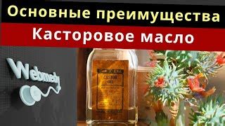 Преимущества касторового масла