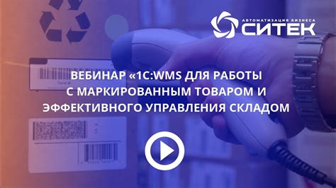 Преимущества работы с оптовым складом