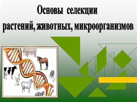 Преимущества селекции штаммов