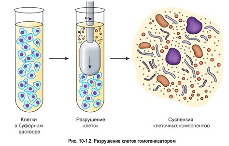 Преимущества центрифугирования в химии