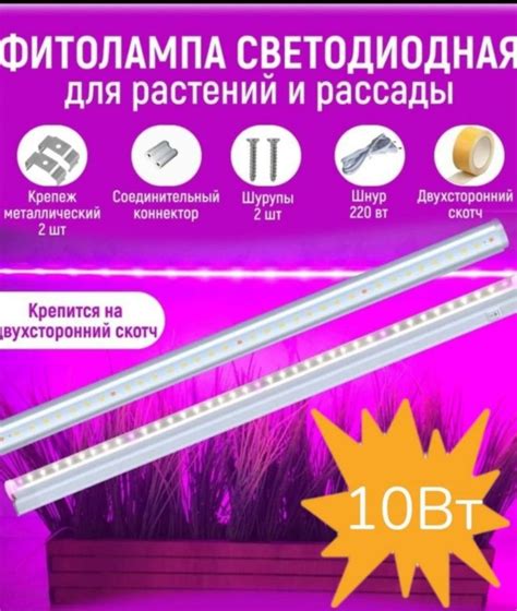 Преимущества LED освещения для растений в саду