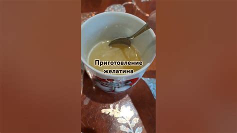 Приготовление желатина