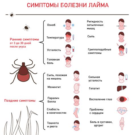 Признаки клеща энцефалита