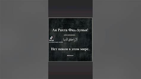 Применение ля рагта фид дунья в повседневной жизни