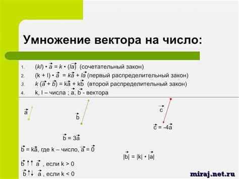 Применение умножения скаляра на вектор