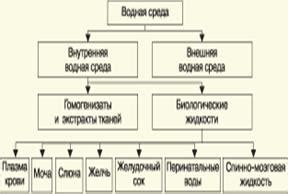 Применение хроматографии в анализе: примеры областей