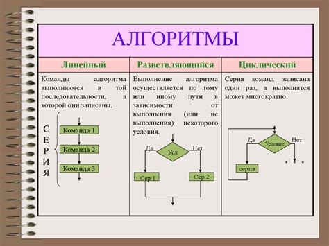 Примеры алгоритмов в программировании