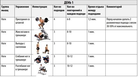 Примеры готовых программ тренировок