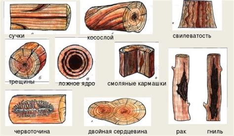 Примеры дефектов древесины