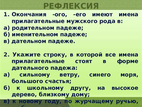 Примеры использования имён прилагательных в 4 классе