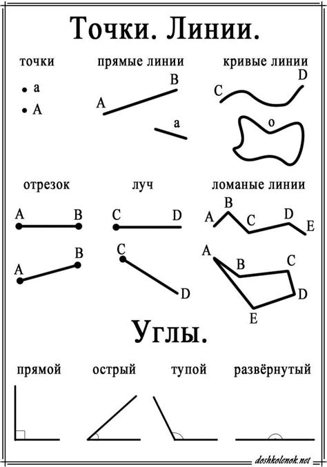 Примеры использования отрезка, луча и прямой в задачах