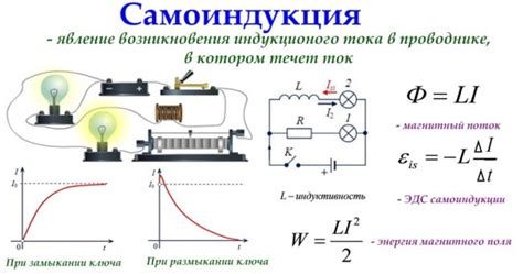 Примеры контекста самоиндукции в природе