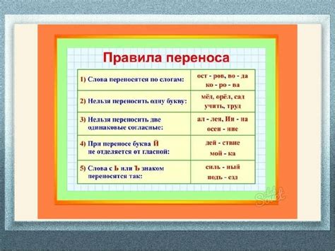 Примеры правильного переноса слова "куст"