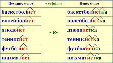 Примеры слов с окончанием -ество