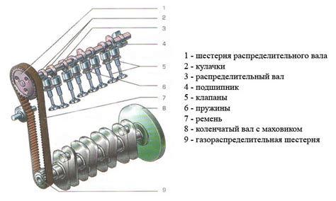 Принципиальное устройство муфты распредвала