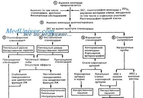 Принципы лечения стенокардии