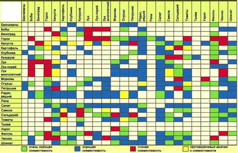 Принципы совместимости растений