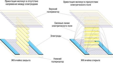 Принцип работы жидкокристаллических экранов