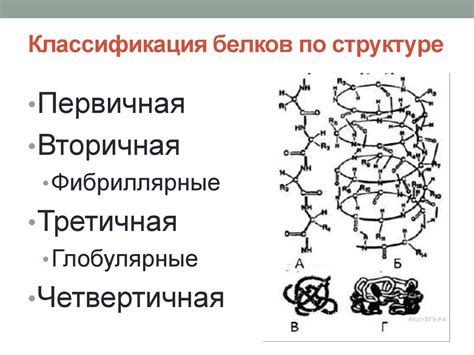 Природа глобулярных белков