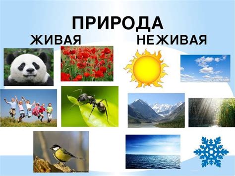 Природа становится живой